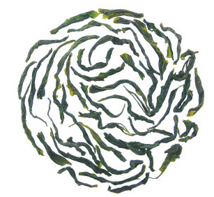 Jade Cloud Green Tea